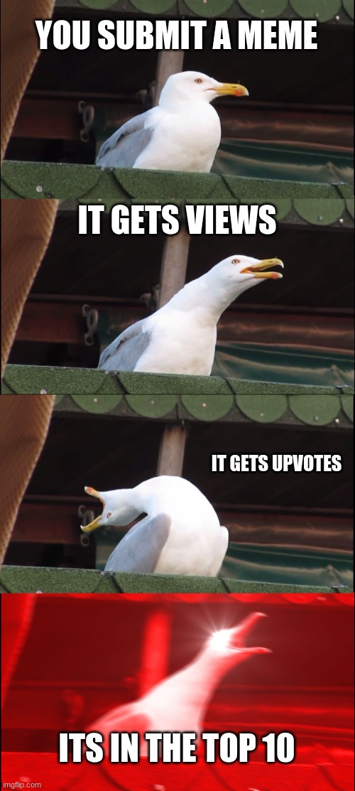 As a meme ages... | YOU SUBMIT A MEME; IT GETS VIEWS; IT GETS UPVOTES; ITS IN THE TOP 10 | image tagged in memes,inhaling seagull | made w/ Imgflip meme maker