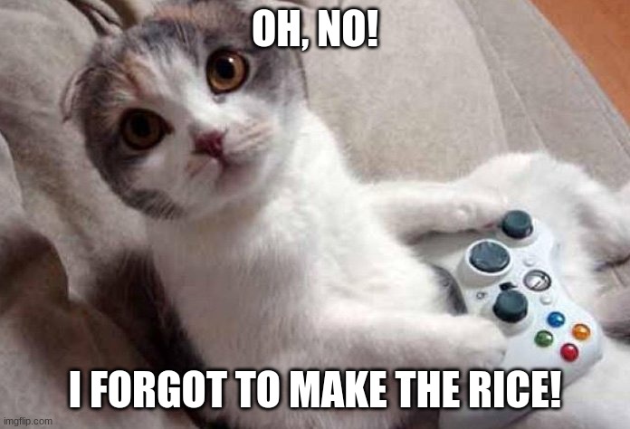 gamer cat | OH, NO! I FORGOT TO MAKE THE RICE! | image tagged in gamer cat,cat | made w/ Imgflip meme maker