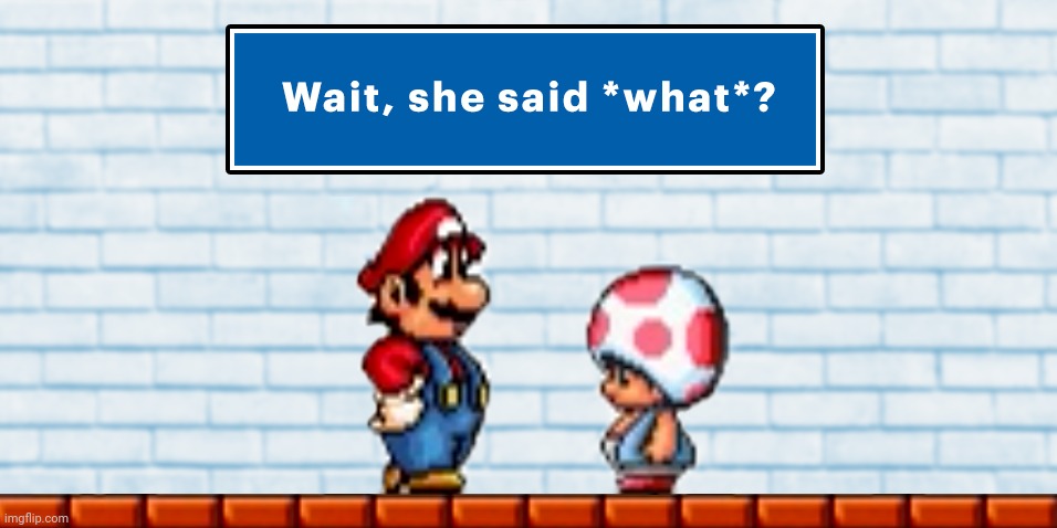 My custom template: Wait, she said what? | image tagged in mario and toad wait she said what,custom template,templates,template | made w/ Imgflip meme maker