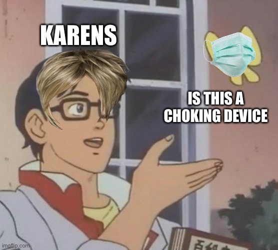 Is This A Pigeon | KARENS; IS THIS A CHOKING DEVICE | image tagged in memes,is this a pigeon | made w/ Imgflip meme maker