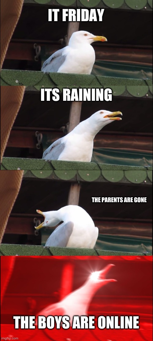 Inhaling Seagull | IT FRIDAY; ITS RAINING; THE PARENTS ARE GONE; THE BOYS ARE ONLINE | image tagged in memes,inhaling seagull | made w/ Imgflip meme maker