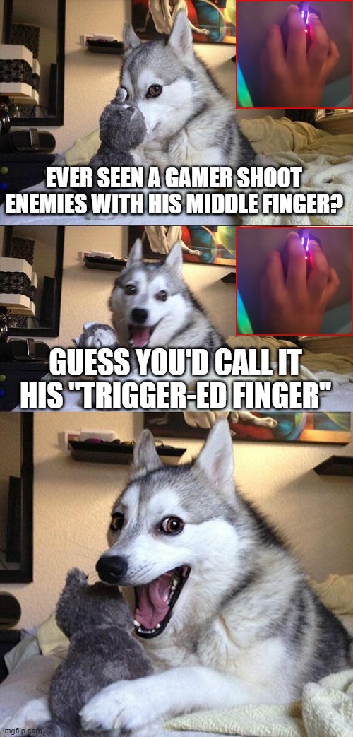 middle finger on the left mouse button | EVER SEEN A GAMER SHOOT ENEMIES WITH HIS MIDDLE FINGER? GUESS YOU'D CALL IT HIS "TRIGGER-ED FINGER" | image tagged in memes,bad pun dog | made w/ Imgflip meme maker
