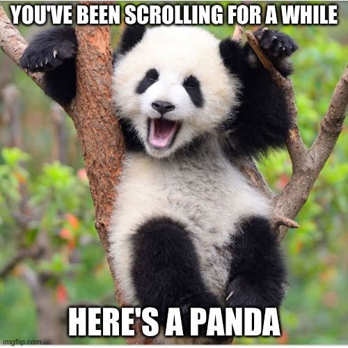 have a great day | YOU'VE BEEN SCROLLING FOR A WHILE; HERE'S A PANDA | image tagged in funny,funny meme,funny memes,lol,lol so funny,too funny | made w/ Imgflip meme maker