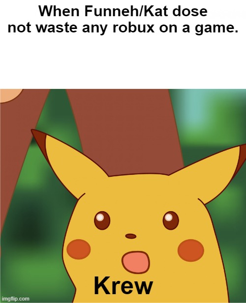 :0 | When Funneh/Kat dose not waste any robux on a game. Krew | image tagged in surprised pikachu high quality | made w/ Imgflip meme maker