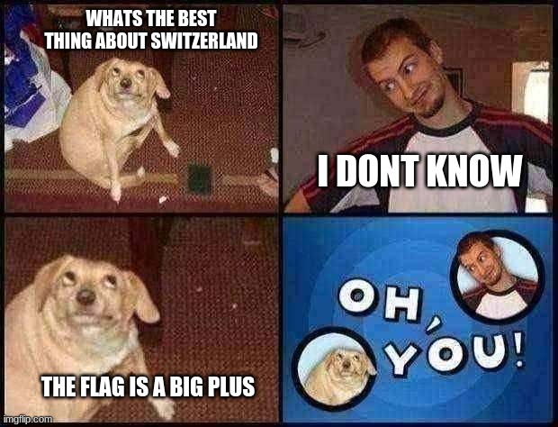 Oh You | WHATS THE BEST THING ABOUT SWITZERLAND; I DONT KNOW; THE FLAG IS A BIG PLUS | image tagged in oh you | made w/ Imgflip meme maker