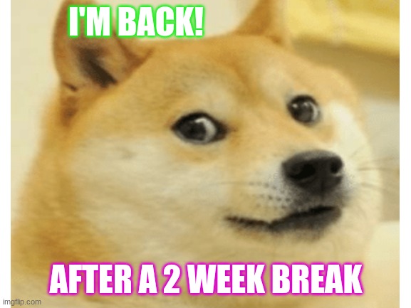 Dude it beeenenene 2 weeka | I'M BACK! AFTER A 2 WEEK BREAK | image tagged in oi im back | made w/ Imgflip meme maker