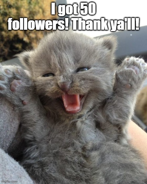 OH YEAH XD | I got 50 followers! Thank ya'll! | image tagged in yay kitty | made w/ Imgflip meme maker