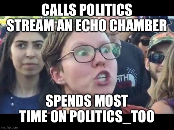 Remember that stream where they had to ban opposing opinions so they could survive? | CALLS POLITICS STREAM AN ECHO CHAMBER; SPENDS MOST TIME ON POLITICS_TOO | image tagged in angry sjw,funny,memes,politics,politics_too | made w/ Imgflip meme maker