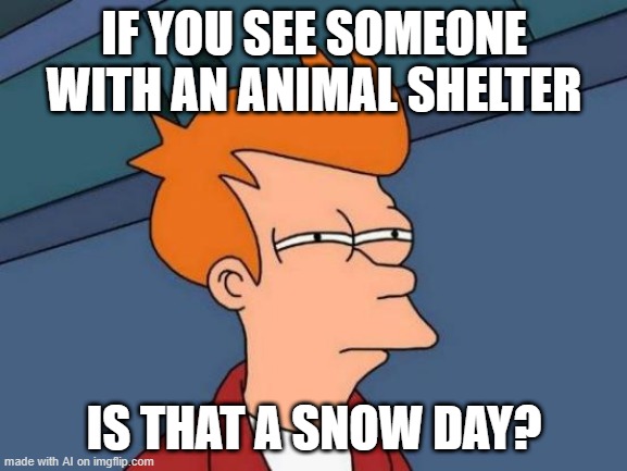 AI is expecting an answer... umm... YES!  [random AI generated meme] | IF YOU SEE SOMEONE WITH AN ANIMAL SHELTER; IS THAT A SNOW DAY? | image tagged in memes,futurama fry,animal,shelter,snow day,ai meme | made w/ Imgflip meme maker