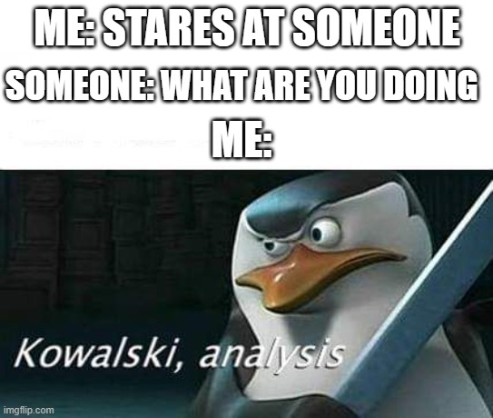 kowalski, analysis | SOMEONE: WHAT ARE YOU DOING; ME: STARES AT SOMEONE; ME: | image tagged in kowalski analysis | made w/ Imgflip meme maker