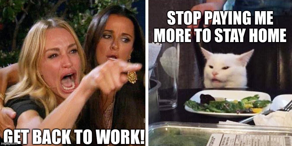 Unemployment | STOP PAYING ME MORE TO STAY HOME; GET BACK TO WORK! | image tagged in smudge the cat,unemployment benefits | made w/ Imgflip meme maker