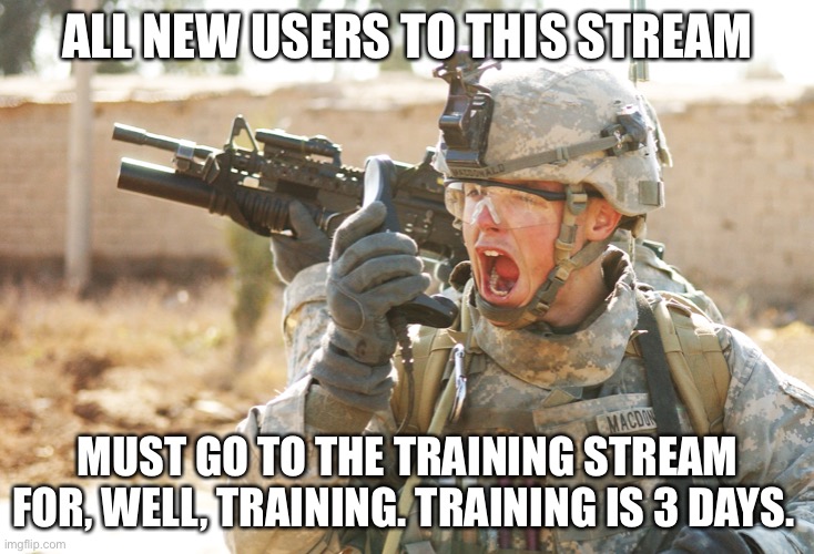 Will someone make a training stream | ALL NEW USERS TO THIS STREAM; MUST GO TO THE TRAINING STREAM FOR, WELL, TRAINING. TRAINING IS 3 DAYS. | image tagged in us army soldier yelling radio iraq war | made w/ Imgflip meme maker