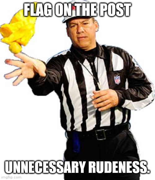 Unnecessary rudeness | FLAG ON THE POST; UNNECESSARY RUDENESS. | image tagged in flag on the play referee | made w/ Imgflip meme maker