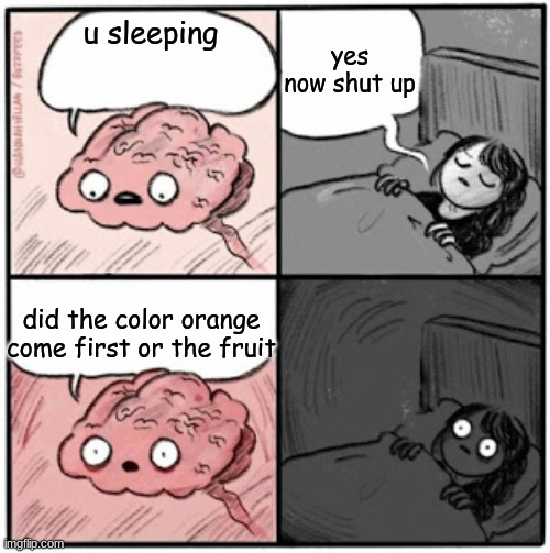 Brain Before Sleep | yes now shut up; u sleeping; did the color orange come first or the fruit | image tagged in brain before sleep | made w/ Imgflip meme maker