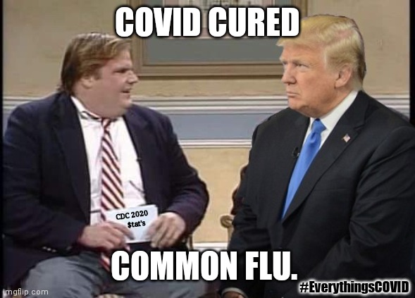 CDC 2020 statistics Prove: #COVIDMiracle Decimated All Major Causes of Death too!! Reasonable to Assume COVID Cures Itself? | COVID CURED; CDC 2020
   $tat's; COMMON FLU. #EverythingsCOVID | image tagged in chris farley and trump,cdc,covid,miracle,the great awakening,upvotes | made w/ Imgflip meme maker