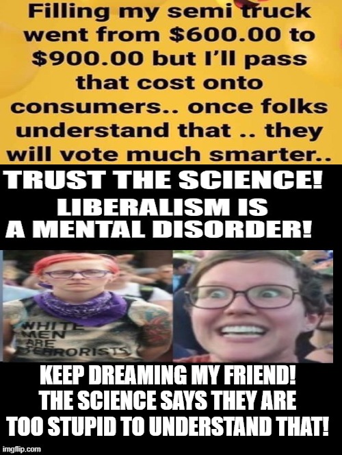 Keep Dreaming Truck Driver!  TRUST THE SCIENCE! Liberals are TOOOO stupid! | KEEP DREAMING MY FRIEND! THE SCIENCE SAYS THEY ARE TOO STUPID TO UNDERSTAND THAT! | image tagged in stupid liberals,morons,mental illness | made w/ Imgflip meme maker