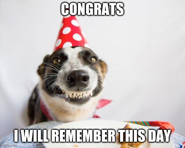 birthday dog |  CONGRATS; I WILL REMEMBER THIS DAY | image tagged in birthday dog | made w/ Imgflip meme maker
