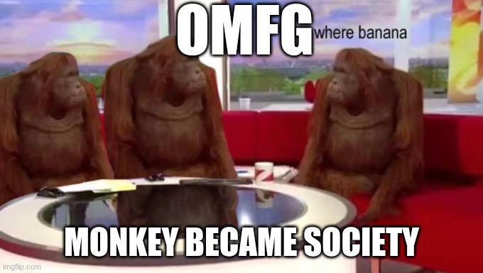 monk society O_O | OMFG; MONKEY BECAME SOCIETY | image tagged in where banana | made w/ Imgflip meme maker