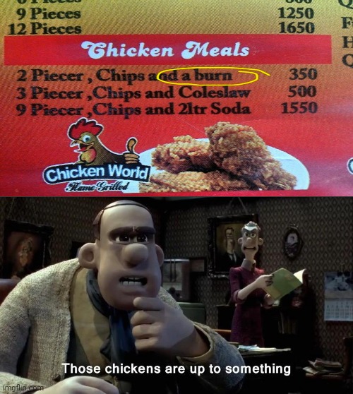A burn | image tagged in those chickens are up to something,you had one job,fails,chicken,memes,chickens | made w/ Imgflip meme maker
