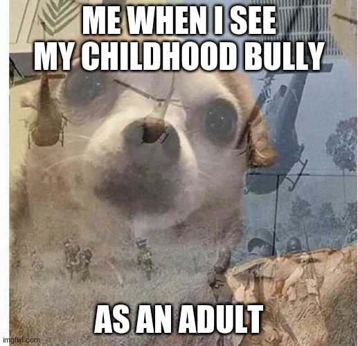 PTSD Chihuahua | ME WHEN I SEE MY CHILDHOOD BULLY; AS AN ADULT | image tagged in ptsd chihuahua | made w/ Imgflip meme maker