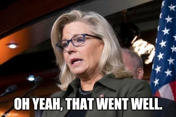 Liz Cheney | OH YEAH, THAT WENT WELL. | image tagged in liz cheney | made w/ Imgflip meme maker