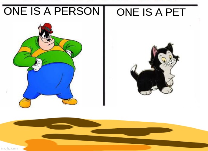 Hmmmmmmm | ONE IS A PET; ONE IS A PERSON | image tagged in comparison table,hmmm,confusion,what | made w/ Imgflip meme maker