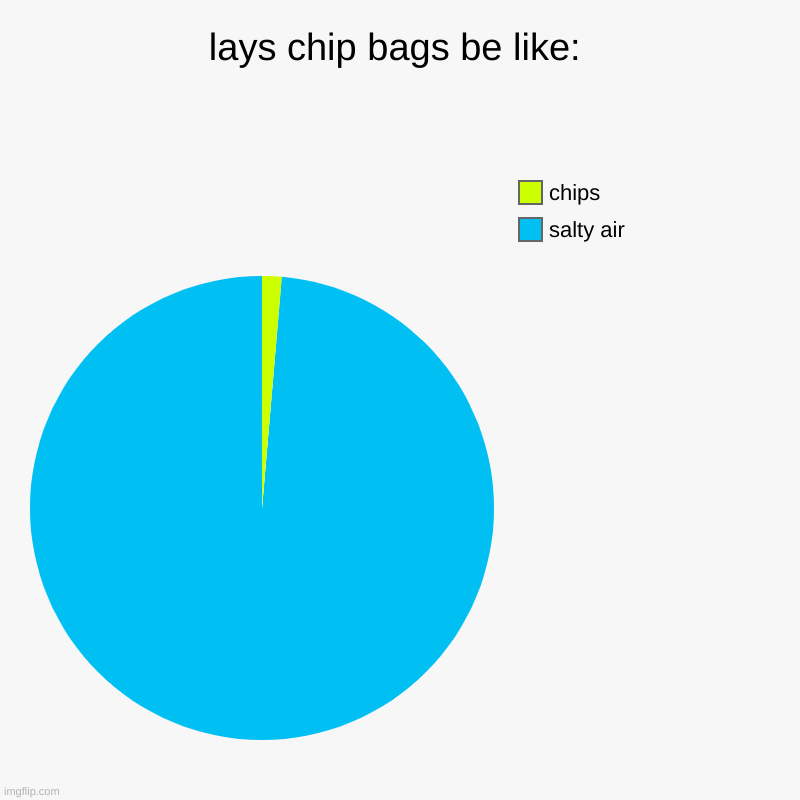 lays chips | lays chip bags be like: | salty air, chips | image tagged in charts,pie charts | made w/ Imgflip chart maker