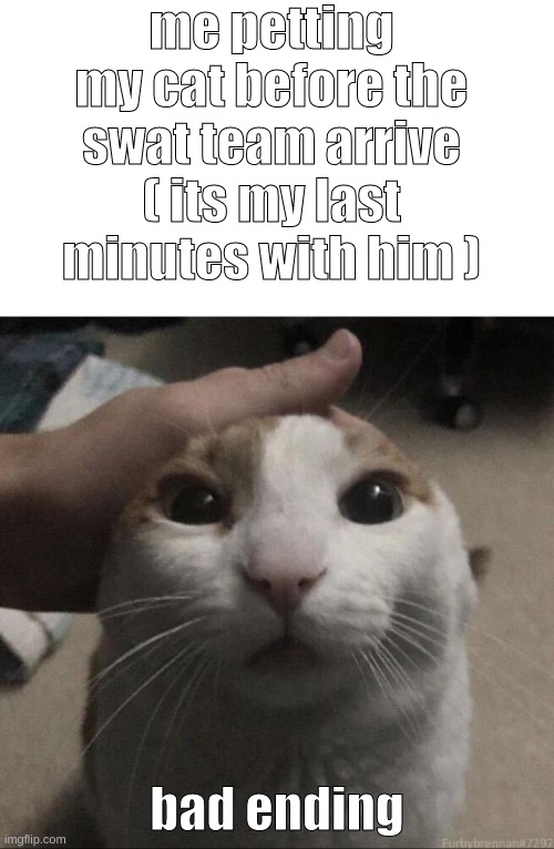 me petting my cat | me petting my cat before the swat team arrive ( its my last minutes with him ); bad ending | image tagged in me petting my cat,memes | made w/ Imgflip meme maker
