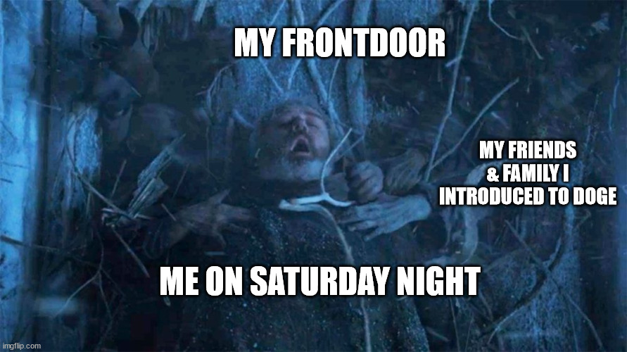 Hold Door Hodor | MY FRONTDOOR; MY FRIENDS & FAMILY I INTRODUCED TO DOGE; ME ON SATURDAY NIGHT | image tagged in hold door hodor | made w/ Imgflip meme maker