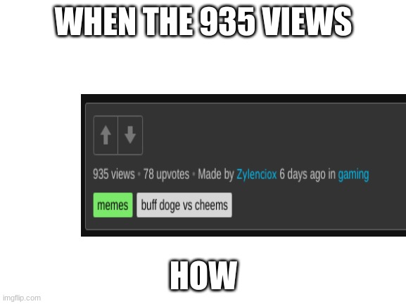 tysm guys really | WHEN THE 935 VIEWS; HOW | image tagged in blank white template,how,huh,lmao | made w/ Imgflip meme maker