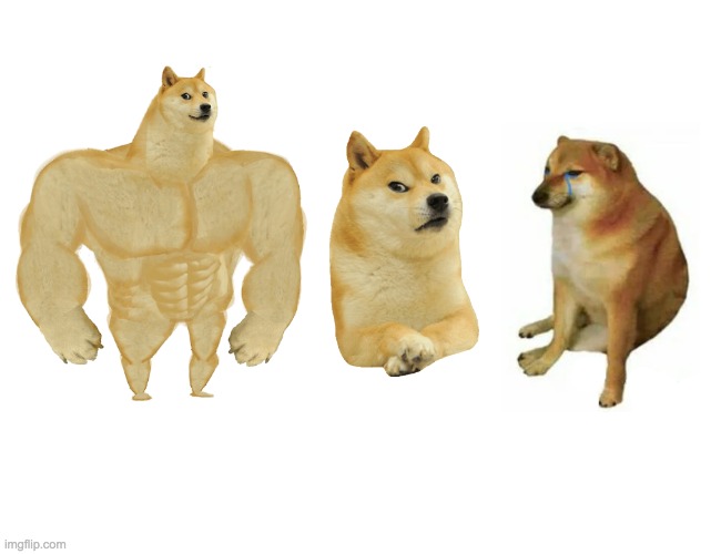 Buff Doge vs. Cheems | image tagged in memes,buff doge vs cheems | made w/ Imgflip meme maker