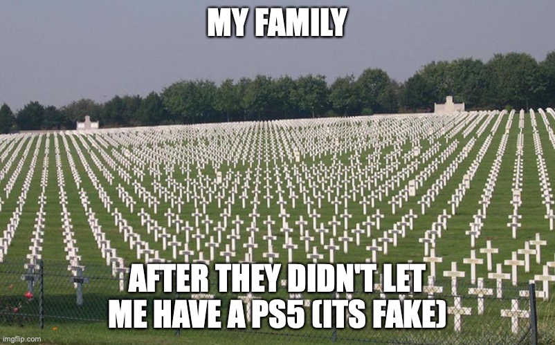 ww2 graves | MY FAMILY; AFTER THEY DIDN'T LET ME HAVE A PS5 (ITS FAKE) | image tagged in ww2 graves | made w/ Imgflip meme maker