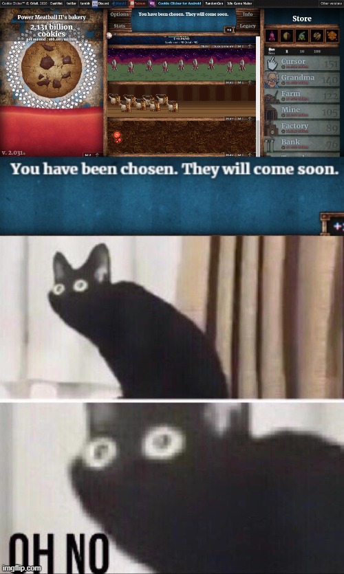 image tagged in oh no cat | made w/ Imgflip meme maker