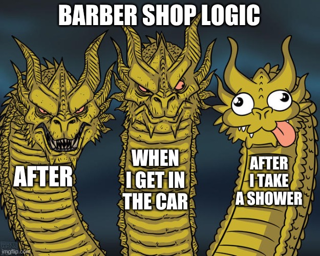 Three-headed Dragon | BARBER SHOP LOGIC; WHEN I GET IN THE CAR; AFTER I TAKE A SHOWER; AFTER | image tagged in three-headed dragon | made w/ Imgflip meme maker