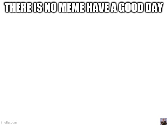 Blank White Template | THERE IS NO MEME HAVE A GOOD DAY | image tagged in blank white template | made w/ Imgflip meme maker