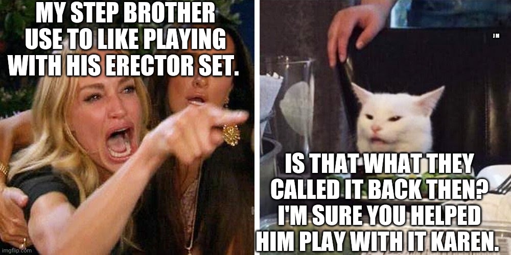 Smudge the cat | MY STEP BROTHER USE TO LIKE PLAYING WITH HIS ERECTOR SET. J M; IS THAT WHAT THEY CALLED IT BACK THEN? I'M SURE YOU HELPED HIM PLAY WITH IT KAREN. | image tagged in smudge the cat | made w/ Imgflip meme maker