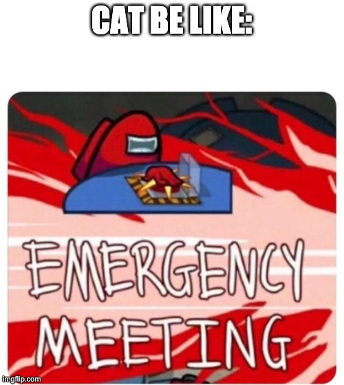 CAT BE LIKE: | image tagged in emergency meeting among us | made w/ Imgflip meme maker