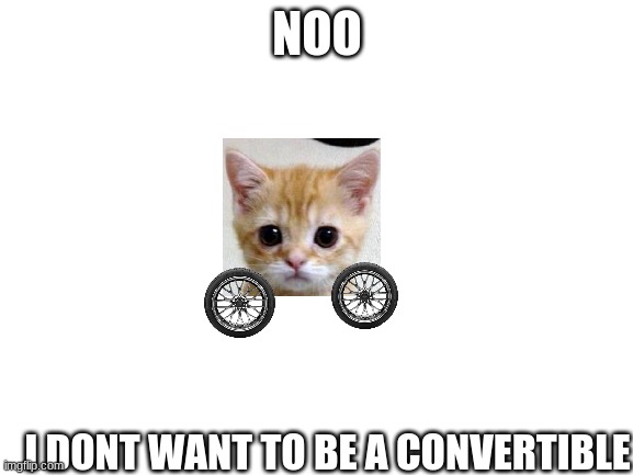 Blank White Template | NOO; I DONT WANT TO BE A CONVERTIBLE | image tagged in blank white template | made w/ Imgflip meme maker