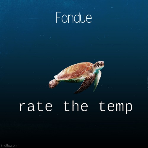 rate it | rate the temp | image tagged in turtle template-fondue | made w/ Imgflip meme maker