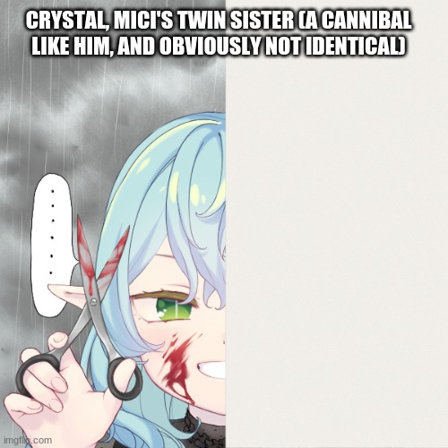 Yeeee | CRYSTAL, MICI'S TWIN SISTER (A CANNIBAL LIKE HIM, AND OBVIOUSLY NOT IDENTICAL) | made w/ Imgflip meme maker