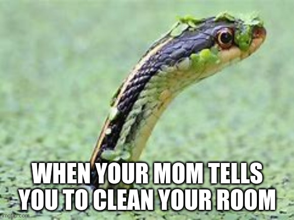 whaaaattt??? I don't understand, why do I have to?? | WHEN YOUR MOM TELLS YOU TO CLEAN YOUR ROOM | made w/ Imgflip meme maker