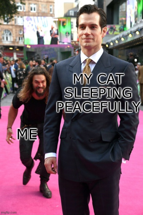 It usually ens in a band-aid moment... |  MY CAT SLEEPING PEACEFULLY; ME | image tagged in jason momoa henry cavill meme | made w/ Imgflip meme maker