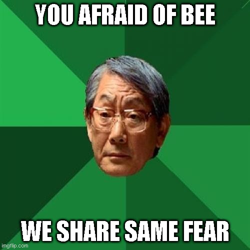 High Expectations Asian Father Meme | YOU AFRAID OF BEE; WE SHARE SAME FEAR | image tagged in memes,high expectations asian father | made w/ Imgflip meme maker