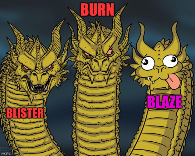 Three-headed Dragon | BURN; BLAZE; BLISTER | image tagged in three-headed dragon | made w/ Imgflip meme maker