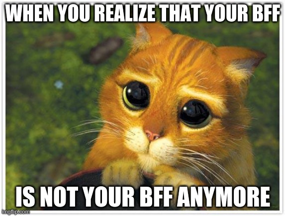 I need a new BFF :,( | WHEN YOU REALIZE THAT YOUR BFF; IS NOT YOUR BFF ANYMORE | image tagged in memes,shrek cat,bff gone,oof,sad | made w/ Imgflip meme maker