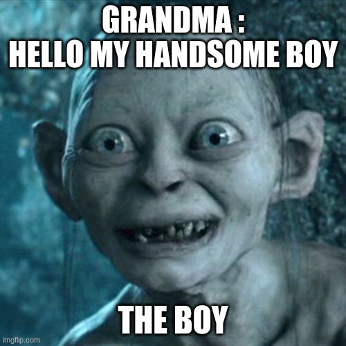 Gollum | GRANDMA : HELLO MY HANDSOME BOY; THE BOY | image tagged in memes,gollum | made w/ Imgflip meme maker