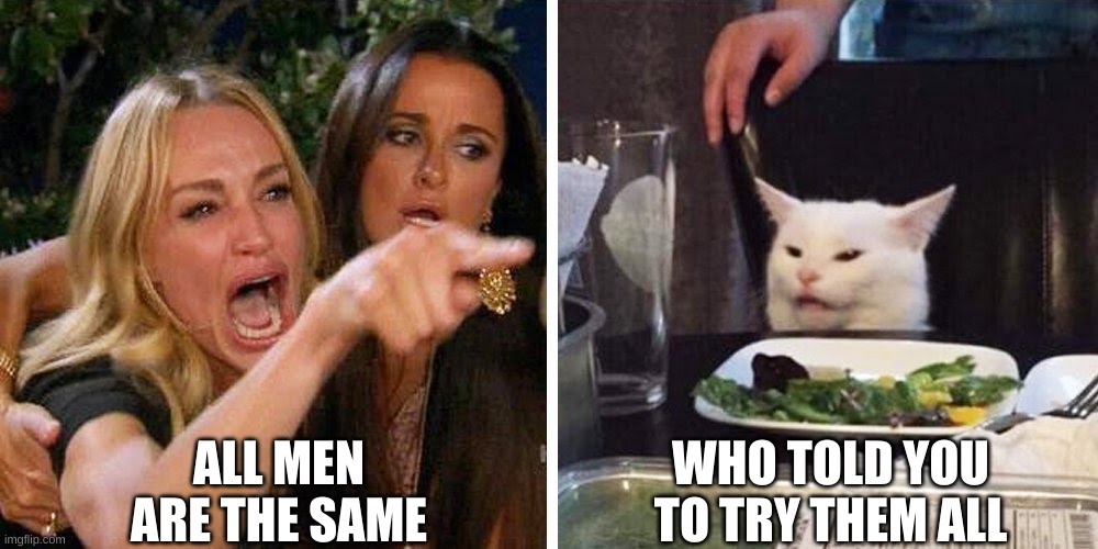 cats | ALL MEN ARE THE SAME; WHO TOLD YOU TO TRY THEM ALL | image tagged in smudge the cat | made w/ Imgflip meme maker