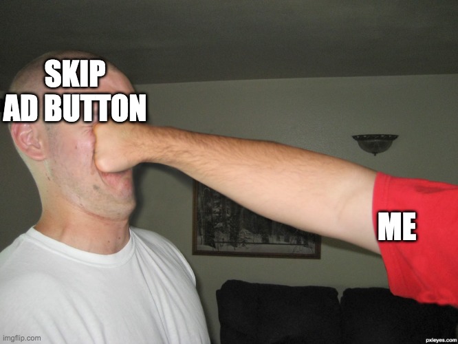 Skip ad button |  SKIP AD BUTTON; ME | image tagged in face punch | made w/ Imgflip meme maker