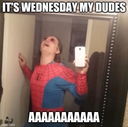 It's Wednesday my dudes | IT'S WEDNESDAY MY DUDES AAAAAAAAAAA | image tagged in it's wednesday my dudes | made w/ Imgflip meme maker