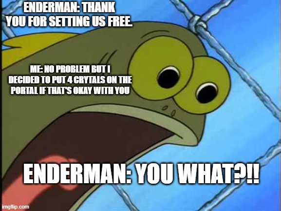 ENDERMAN | ENDERMAN: THANK YOU FOR SETTING US FREE. ME: NO PROBLEM BUT I DECIDED TO PUT 4 CRYTALS ON THE PORTAL IF THAT'S OKAY WITH YOU; ENDERMAN: YOU WHAT?!! | image tagged in you what | made w/ Imgflip meme maker